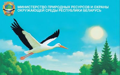 На страже экологической безопасности: как работает природоохранная инспекция Крупского района
