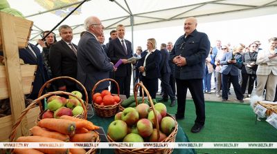 Лукашенко обещает поддержку фермерам