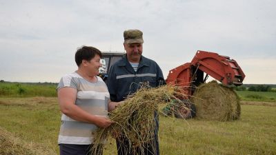 Крупские земледельцы полным ходом ведут косовицу