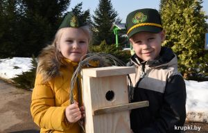 Домики для синичек появились в детском саду № 2