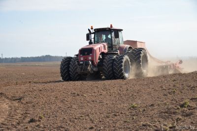 На Крупщине ранними яровыми зерновыми засеяно 68,2% заданных площадей