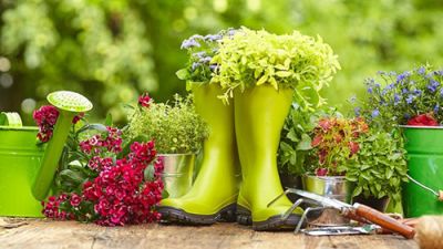 Министерство ЖКХ призывает присоединиться к инициативе по наведению порядка #НаРоднойЗемлеЖивиКакХозяин