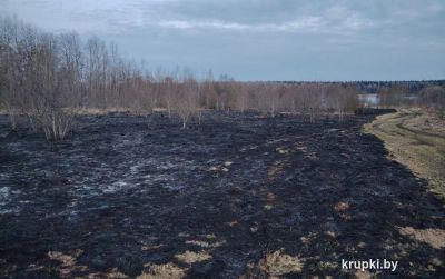 За минувшую неделю в Крупском районе подразделения МЧС 10 раз выезжали на ликвидацию палов