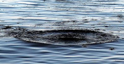 МЧС: с начала купального сезона в Минской области утонули 37 человек