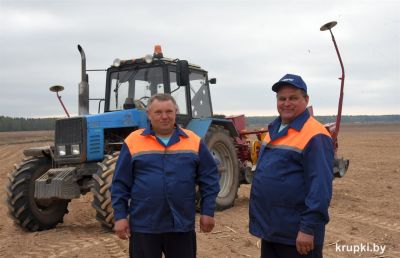 Как планируют вырастить хороший урожай кукурузы в СУП «Щавры-агро»?