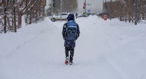 При каких морозах могут отменить занятия в школах и детсадах