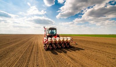 Минская область лидирует по севу яровых культур