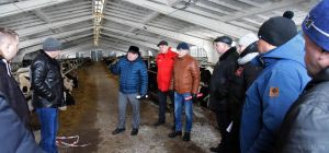 Председатель райисполкома провел семинар для специалистов сельского хозяйства в ОАО «Старосельское»