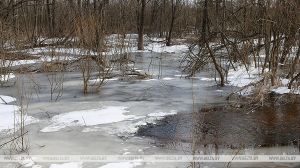 В Минской области работает горячая линия по вопросам подтопления территорий