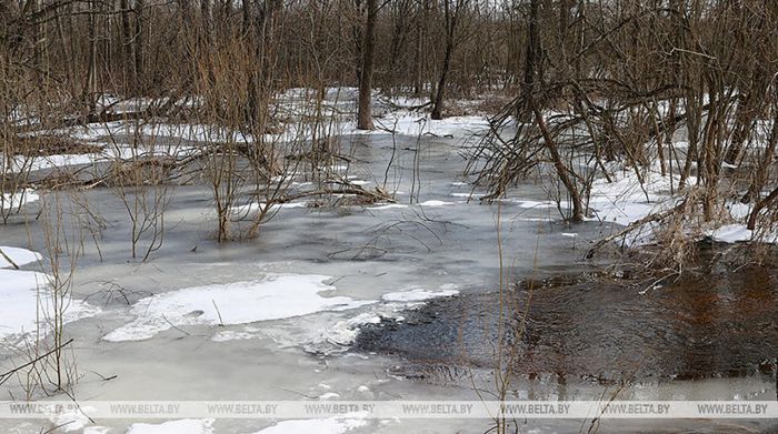 В Минской области работает горячая линия по вопросам подтопления территорий