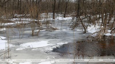 В Минской области работает горячая линия по вопросам подтопления территорий