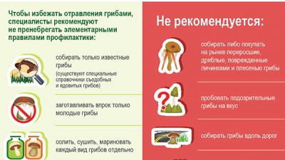 Инфографика: профилактика отравлений грибами