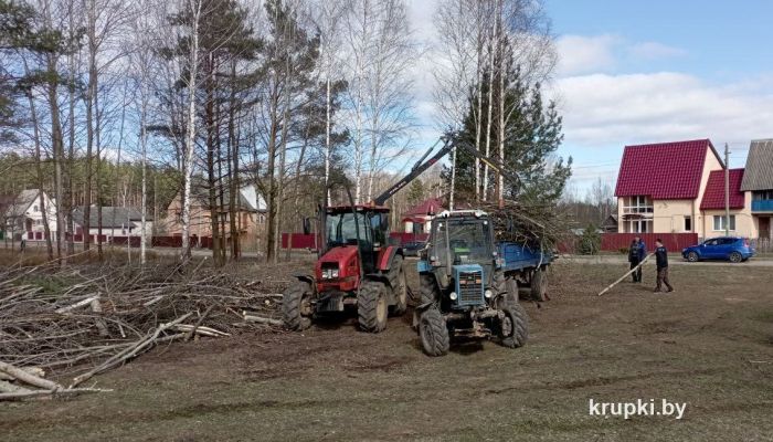 Полным ходом идут работы в лесозоне у остановочного пункта &quot;Новая жизнь&quot;
