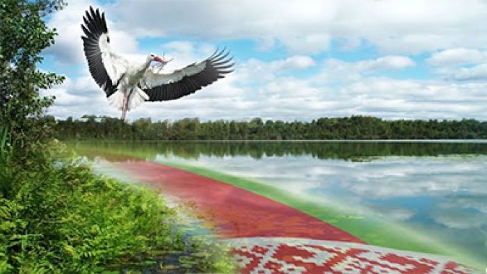 Стартовал конкурс работ творческой молодежи «Золотое перо «Белой Руси»-2021»