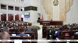 Депутаты приняли в двух чтениях законопроект об очередной амнистии