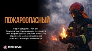 За незаконное выжигание сухой растительности предусмотрен штраф