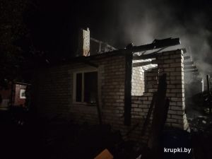 В садовом товариществе «Камыш» горел жилой дом