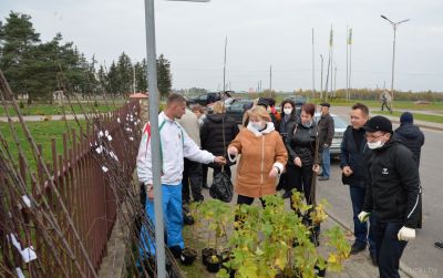 Благотворительную акцию провело католическое общество «Каритас» Минско-Могилевской архиепархии
