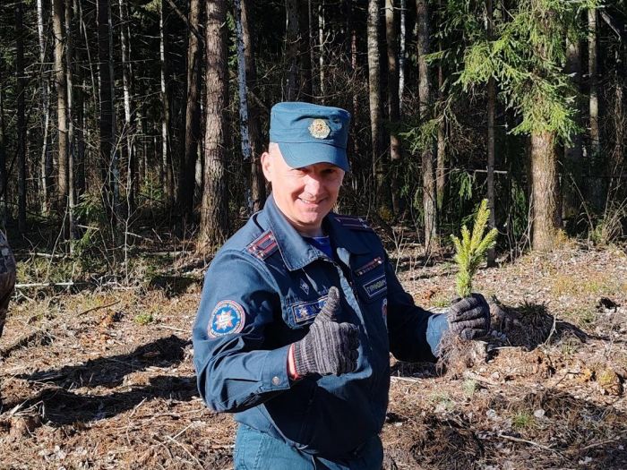 Крупские спасатели внесли вклад в восстановление лесного фонда
