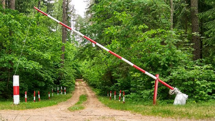В Крупском районе снято ограничение на посещение лесов