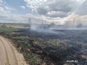 Огненные ЧС произошли в д. Великое Осово Хотюховского сельсовета и Холопеничах