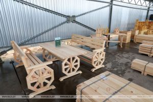 Лукашенко поручил тиражировать в Беларуси небольшие производства по переработке древесины