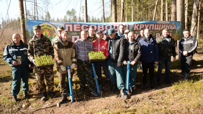 Крупский лесхоз в очередной раз подтвердил свой высокий профессионализм