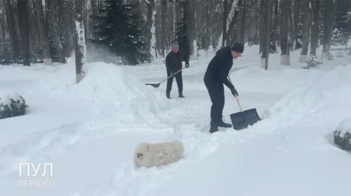 Лукашенко лично взялся за расчистку снежных сугробов