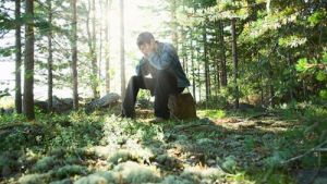 Грибной сезон продолжается: как вернуться домой из леса