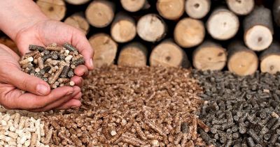 Кто имеет право на приобретение пеллетов по фиксированной цене и как их приобрести? Узнали подробности