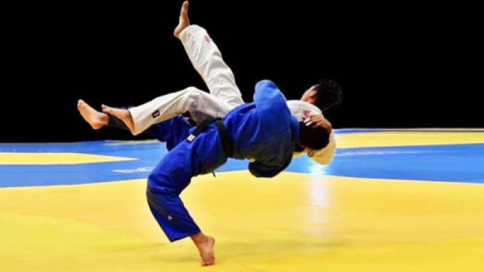 Спортсмены Минской области удачно выступили на чемпионате Европы по дзюдо и чемпионате мира по борьбе