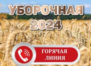 «Горячая линия» по охране и условиям труда участников жатвы работает в ФПБ до конца уборочной