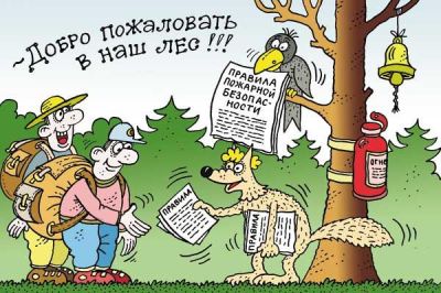 Как не стать виновником лесного и торфяного пожара? Рассказали спасатели
