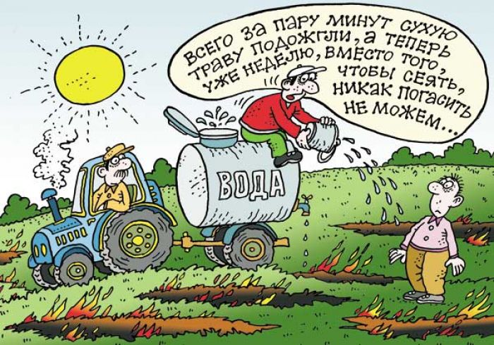 МЧС напоминает: за незаконное выжигание сухой растительности придётся заплатить