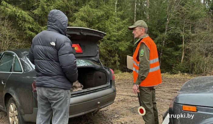 Самовольная вырубка ёлки может омрачить праздники