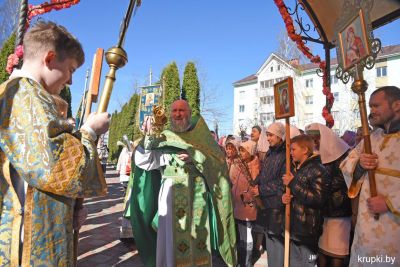 Православные христиане отмечают праздник &ndash; Вход Господень в Иерусалим, или Вербное воскресенье