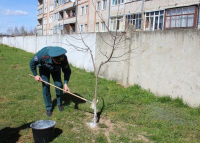 Крупские спасатели обновили офицерскую аллею на территории РОЧС