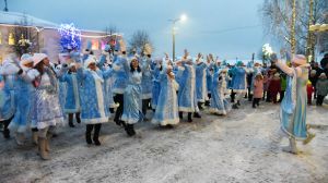 В Крупках провели фест Дедов Морозов и Снегурочек (фото)