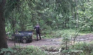 Выбрасывая мусор в лесу, можно стать персонажем фотосъемки