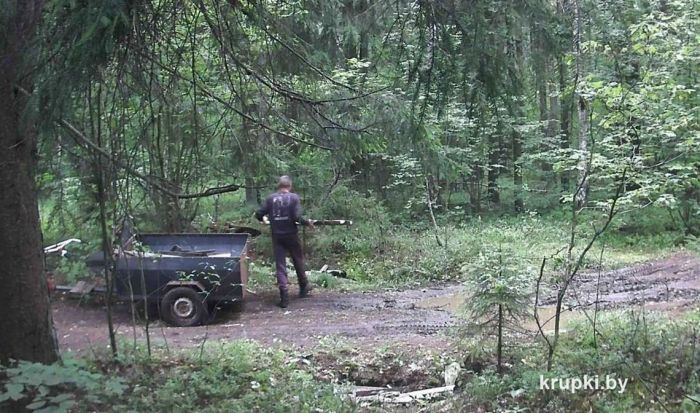 Выбрасывая мусор в лесу, можно стать персонажем фотосъемки