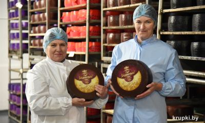 Холопеничские сыроделы выпускают конкурентоспособную продукцию