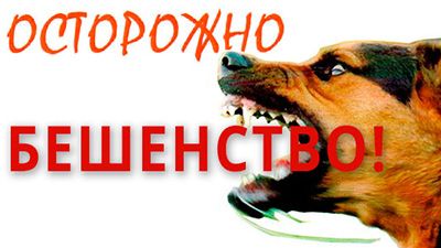 В 2023 году в Крупском районе зарегистрировано 4 очага по бешенству