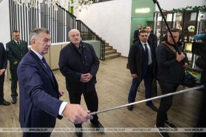 &quot;В это надо вкладывать деньги&quot;. Лукашенко о развитии санаторно-курортных услуг