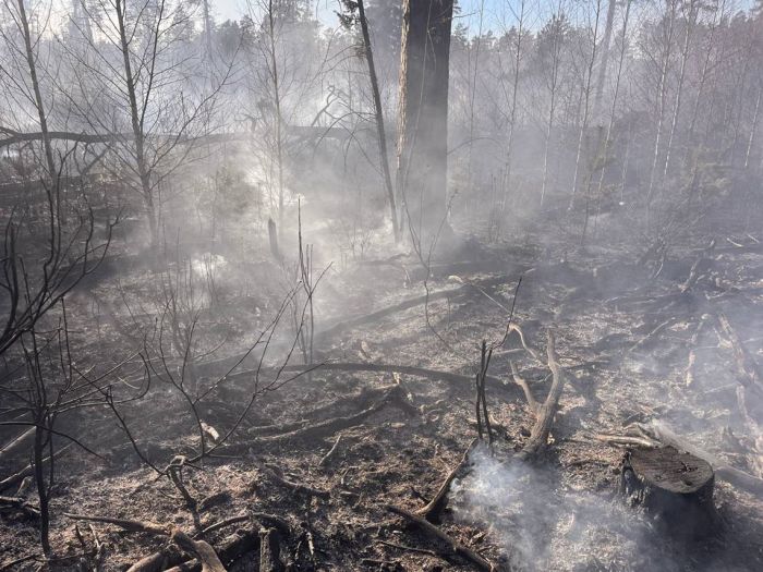Спасатели Крупского РОЧС и работники Крупского лесхоза тушили лесной пожар в Бобре