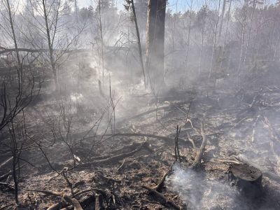 Спасатели Крупского РОЧС и работники Крупского лесхоза тушили лесной пожар в Бобре