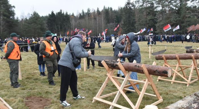 7 ноября пройдет IV Чемпионат Беларуси по колке дров среди журналистов