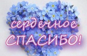С вниманием и заботой относятся работники социальной службы к своим подопечным
