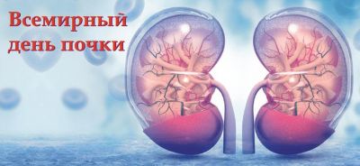 12 марта отмечается Всемирный День Почки