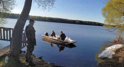В Селяву выпустили миллион личинок щуки