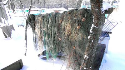 В Крупском районе изъяли почти 6 км рыболовных сетей